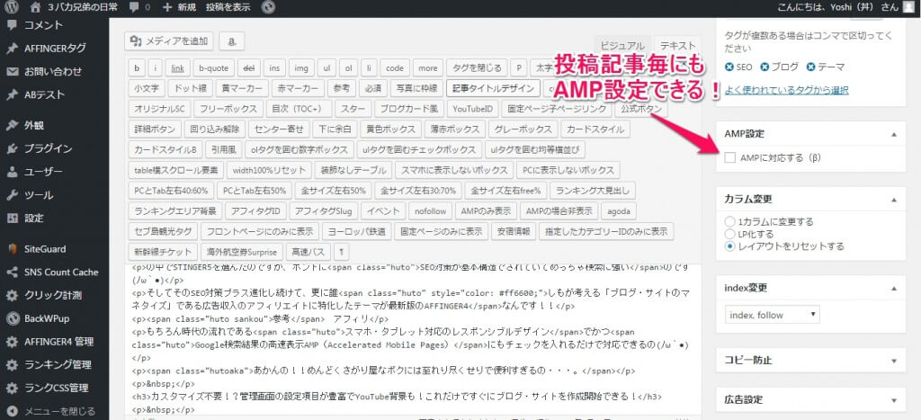 付録の「稼ぐサイトの設計図」が初心者にもアフィリエイトに取り組んできた人にも役に立つ
